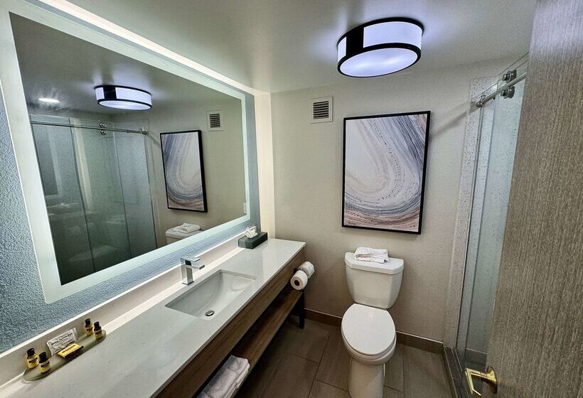 בית מלון כפרי City Express by Marriott Duluth