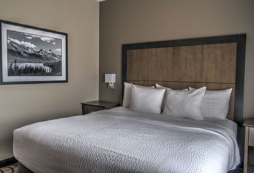 Best Western Plus Kalispell/glacier Park West Hotel & Suites