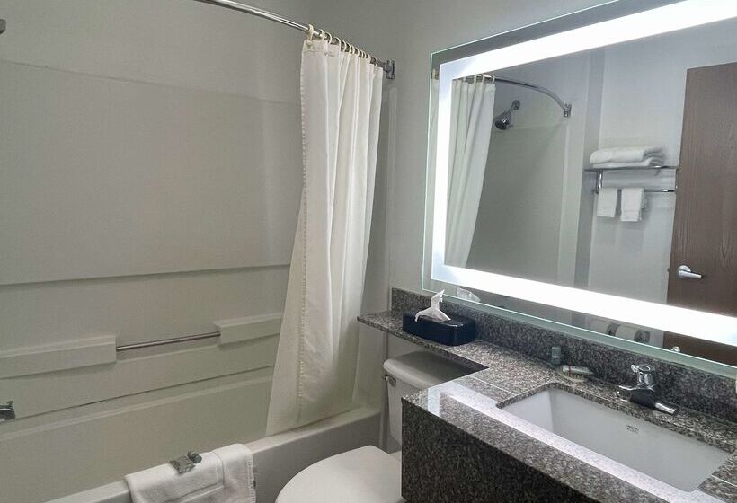 ホテル Best Western Roanoke Inn & Suites