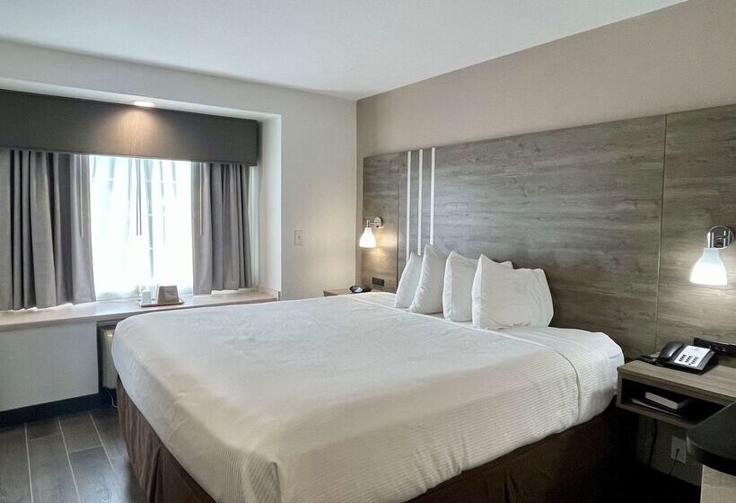 בית מלון כפרי Best Western Roanoke Inn & Suites