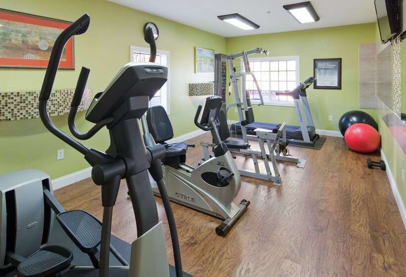 בית מלון כפרי Best Western Roanoke Inn & Suites