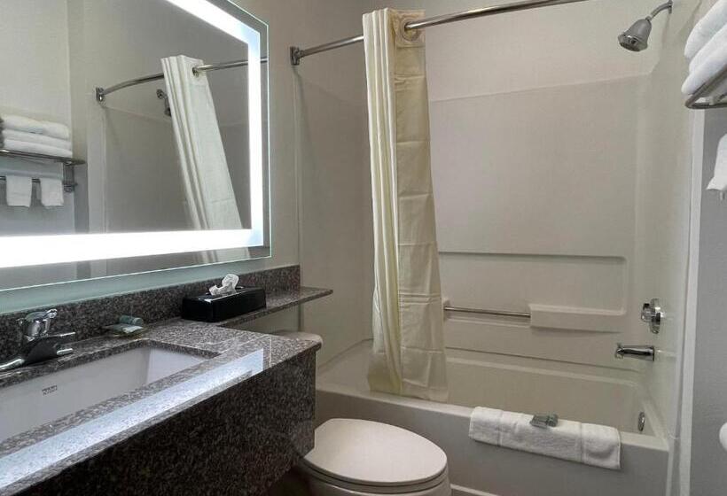 בית מלון כפרי Best Western Roanoke Inn & Suites