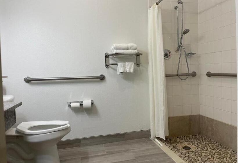 ホテル Best Western Roanoke Inn & Suites