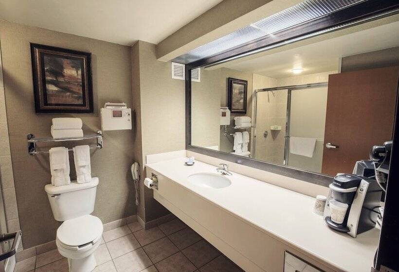 فندق Casino Queen