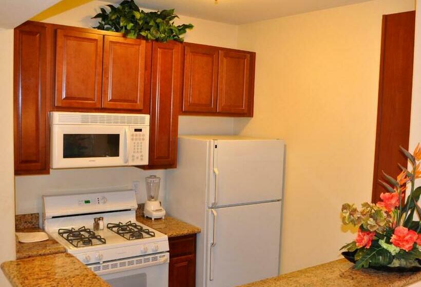 호텔 Club De Soleil Allsuite Resort