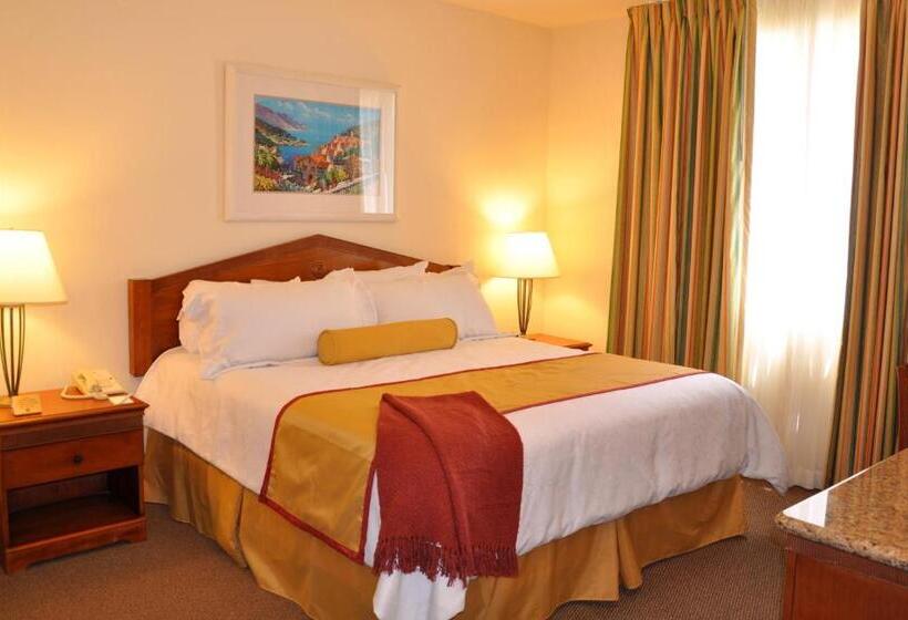 호텔 Club De Soleil Allsuite Resort