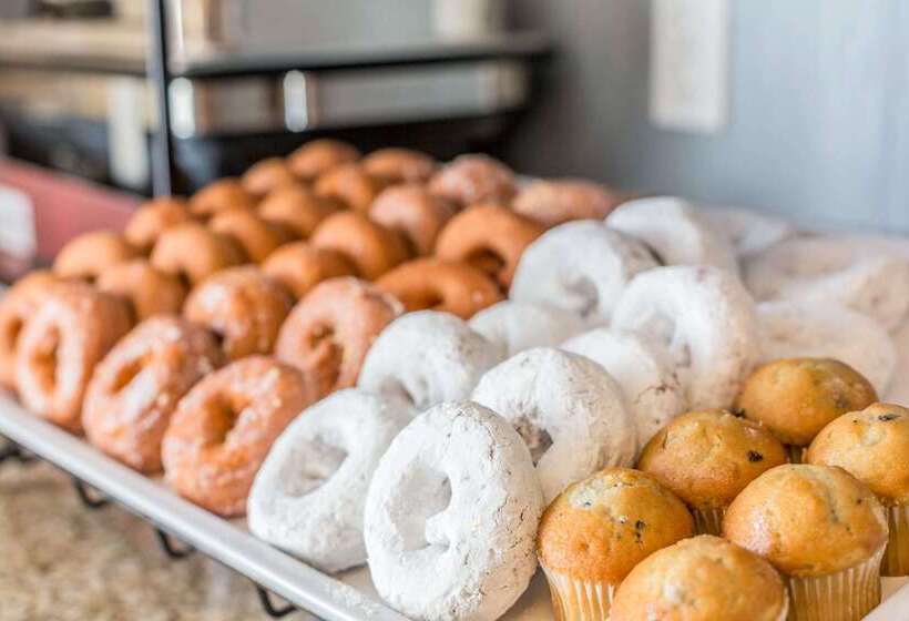 فندق Comfort Inn & Suites