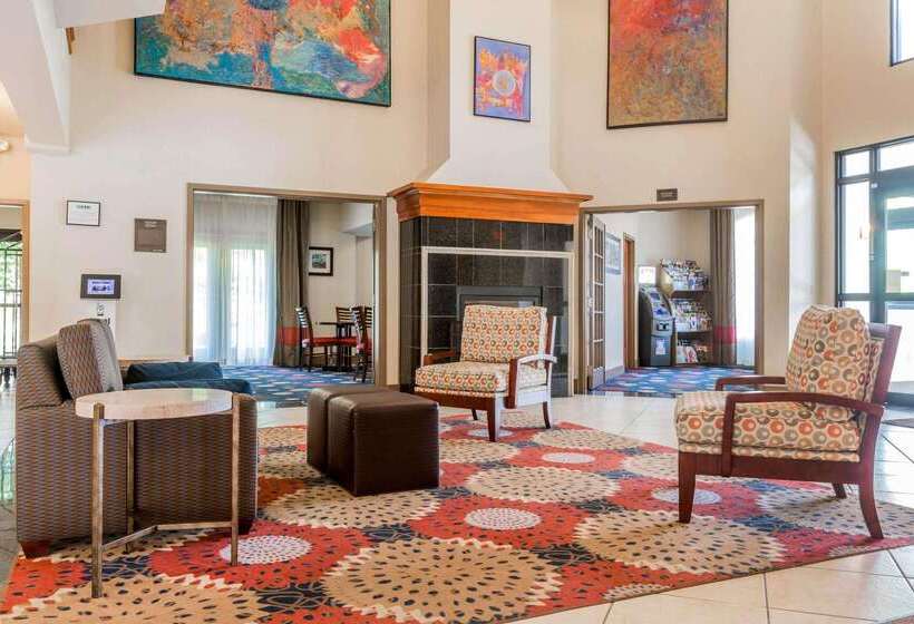 فندق Comfort Inn & Suites