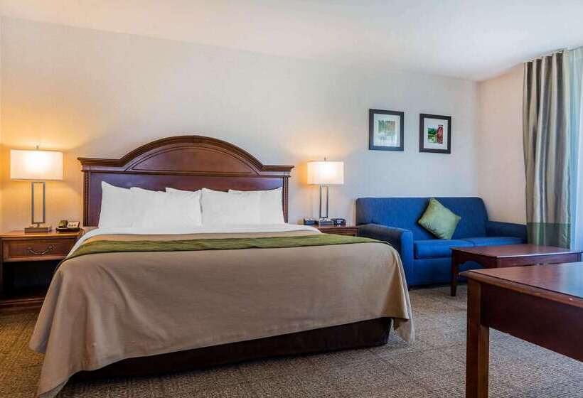 فندق Comfort Inn & Suites