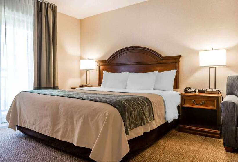 فندق Comfort Inn & Suites