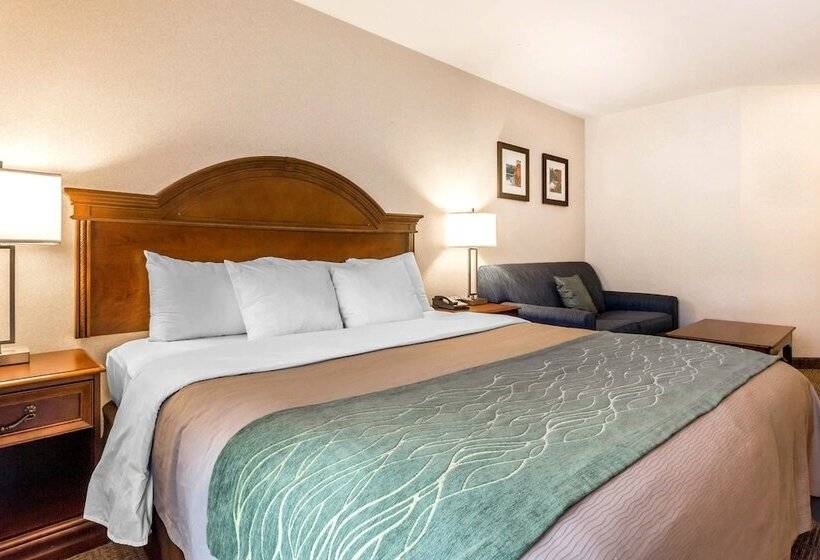 فندق Comfort Inn & Suites