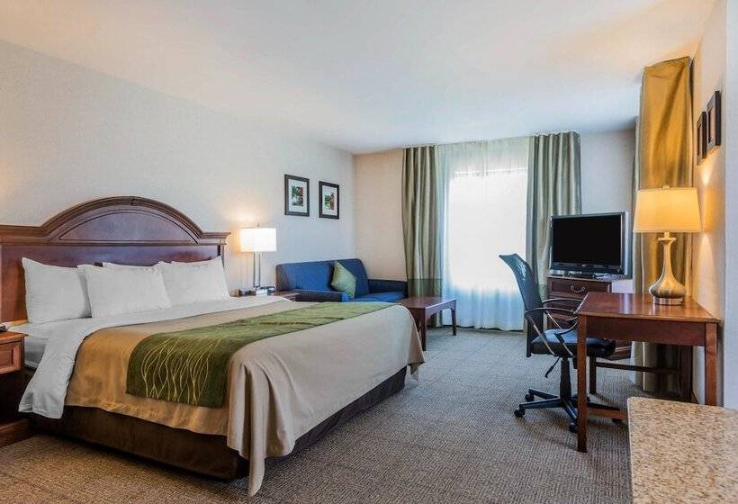 فندق Comfort Inn & Suites