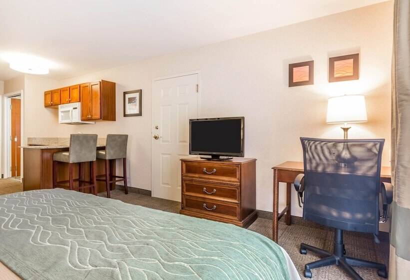 فندق Comfort Inn & Suites