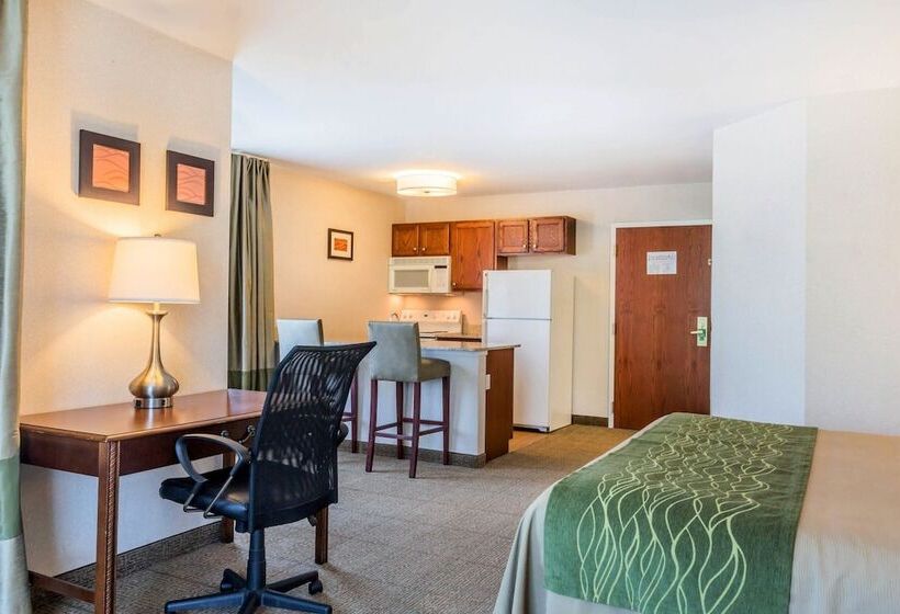 فندق Comfort Inn & Suites