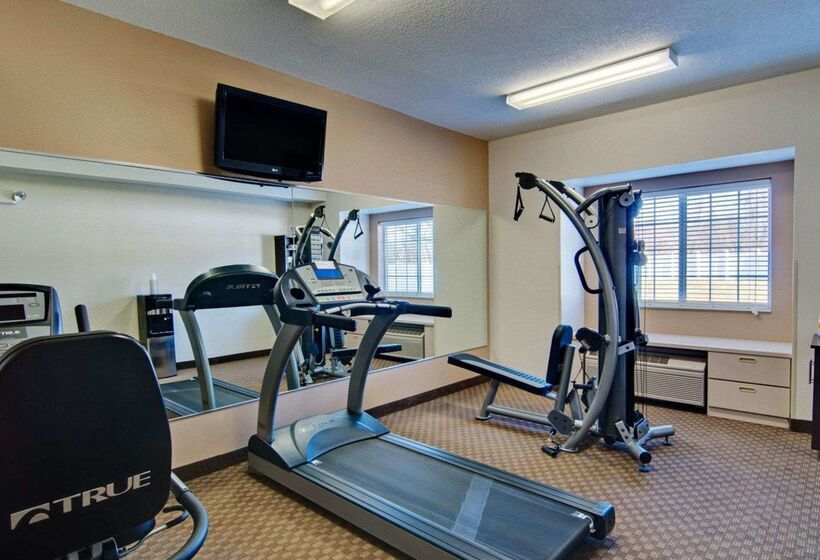 ホテル Comfort Inn Mount Airy