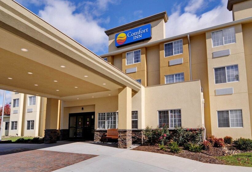 ホテル Comfort Inn Mount Airy