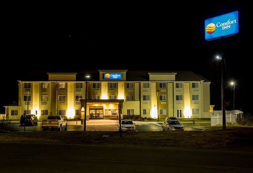 ホテル Comfort Inn Mount Airy
