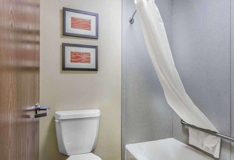 فندق Comfort Inn & Suites Crystal Inn Sportsplex