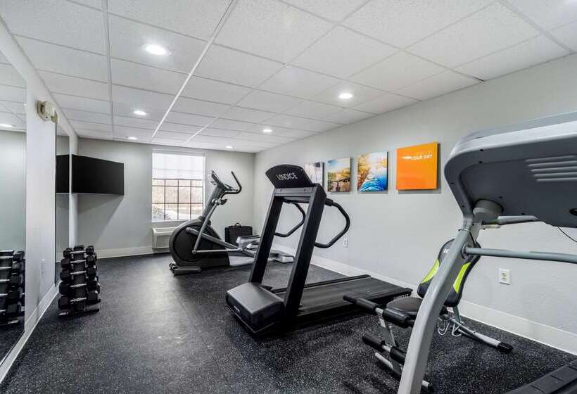 فندق Comfort Inn & Suites