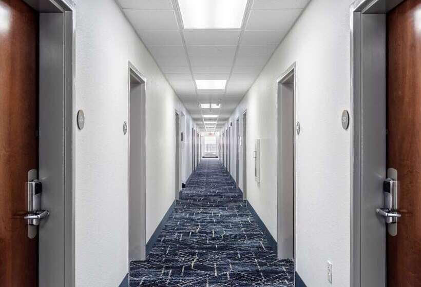 فندق Comfort Inn & Suites