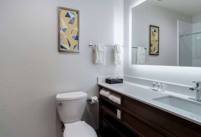 فندق Comfort Inn & Suites