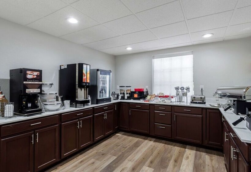 فندق Comfort Inn & Suites