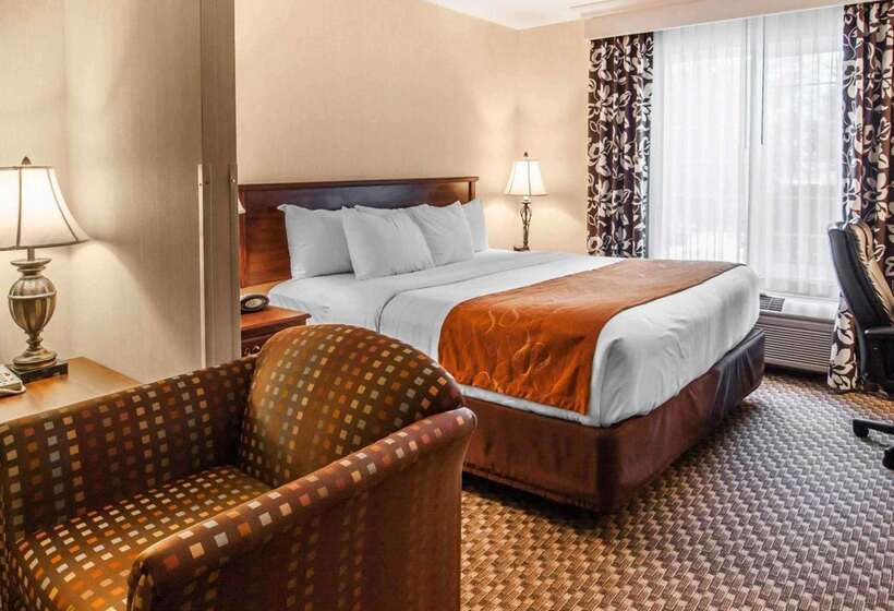 فندق Comfort Suites