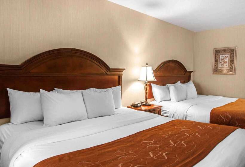 فندق Comfort Suites