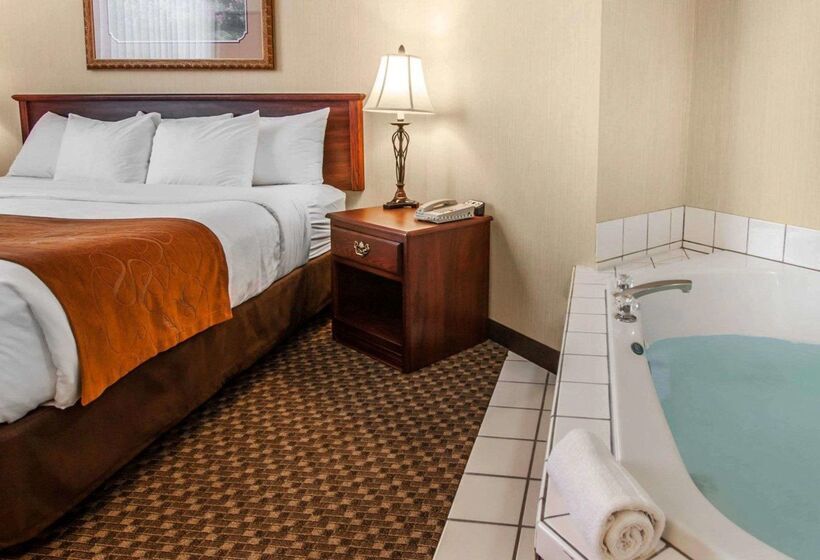 فندق Comfort Suites