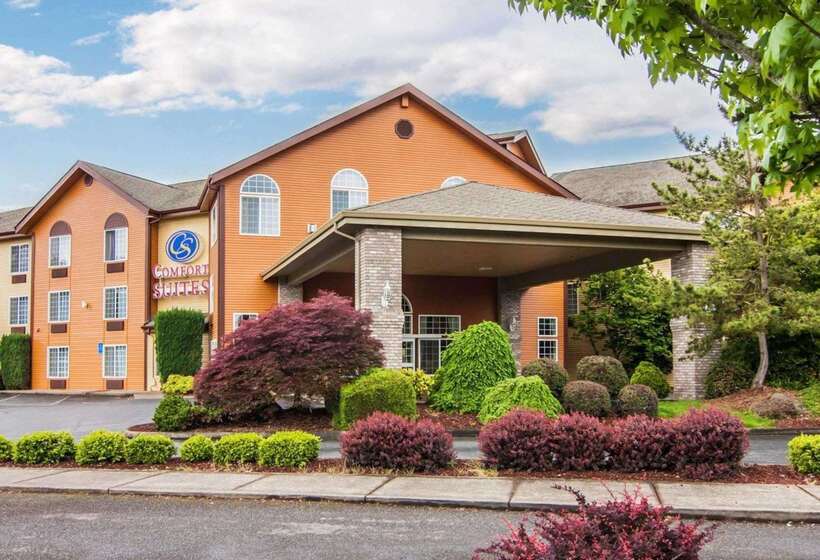 فندق Comfort Suites