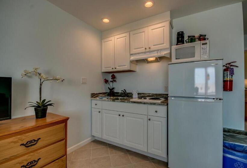 호텔 Daytona Inn And Suites