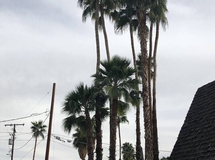 فندق Desert Lodge