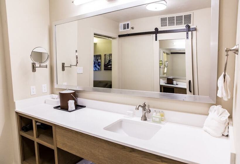 酒店 Fredericksburg Inn And Suites