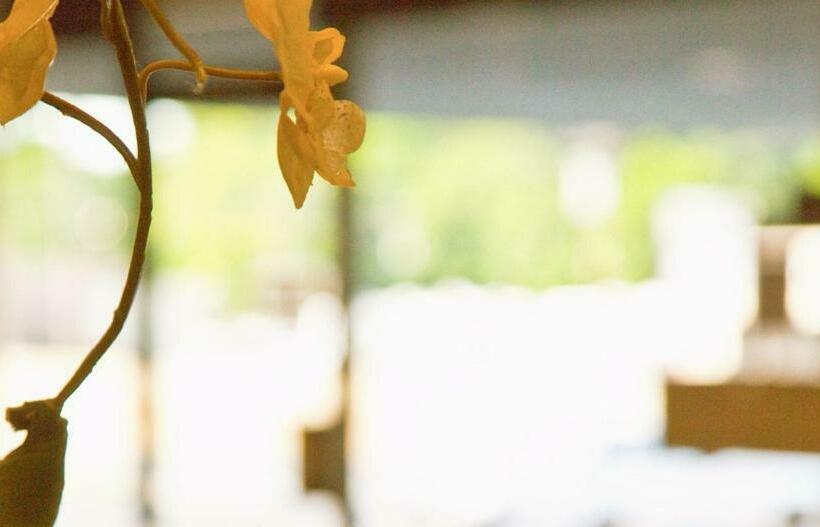 酒店 Golden Green   Charlotte