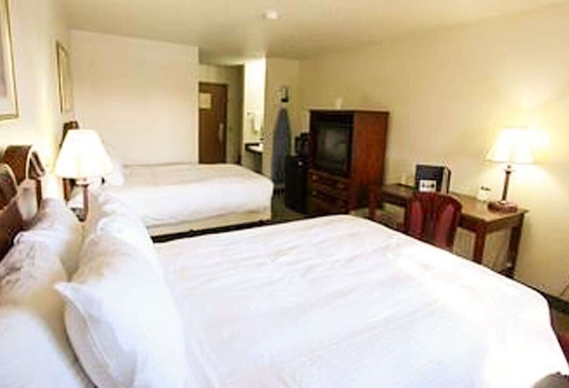 فندق Harbor Winds