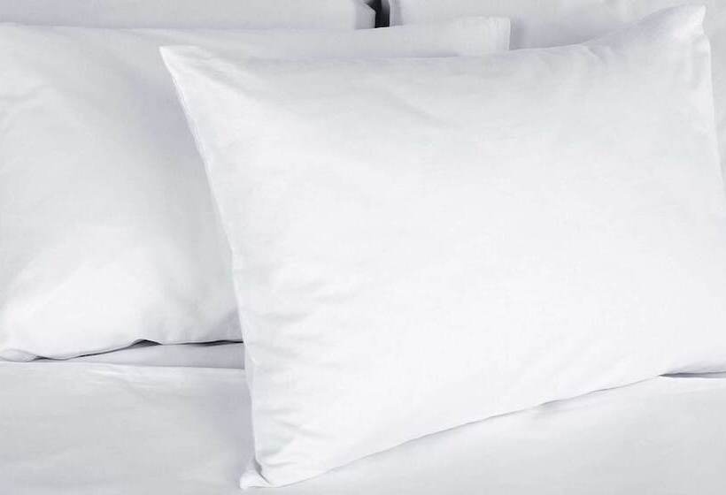 فندق Harbor Winds