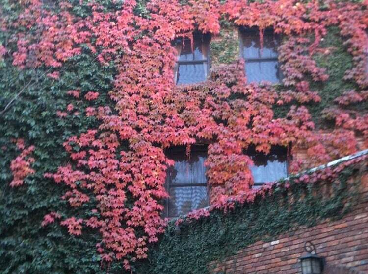 ホテル Historic Cary House