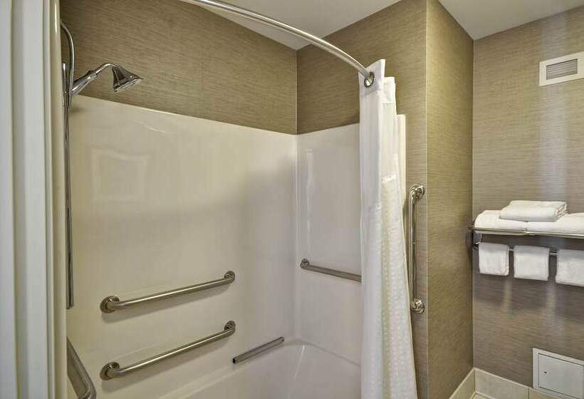 Отель Holiday Inn Express Romulus / Detroit Airport, An Ihg