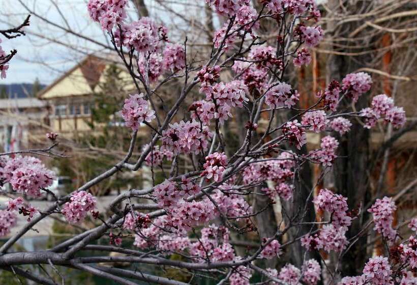 בית מלון כפרי Holiday Inn Resort The Lodge At Big Bear Lake, An Ihg