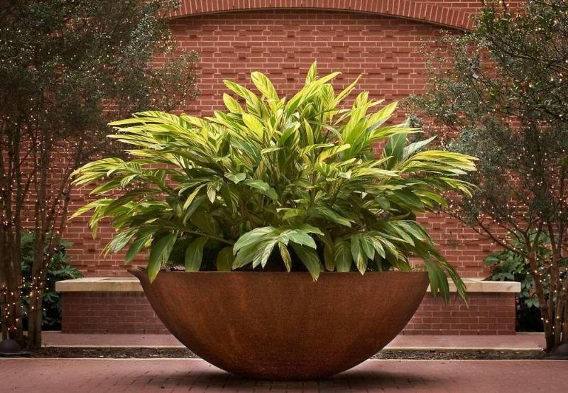 فندق Houston Marriott Sugar Land