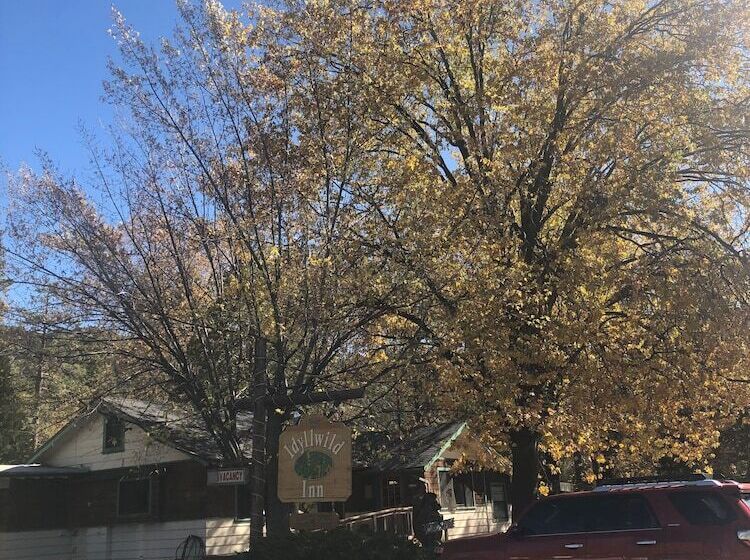 호텔 Idyllwild Inn