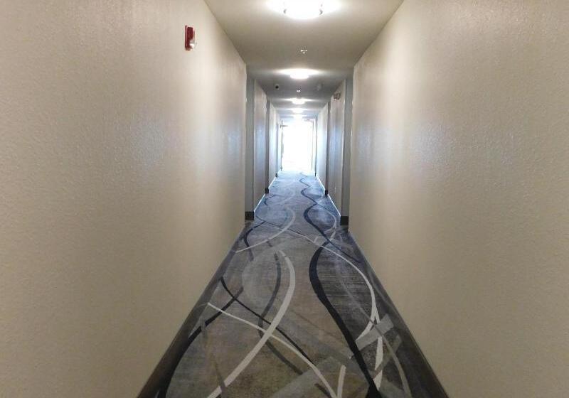 هتل Island Suites