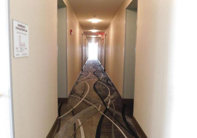 هتل Island Suites