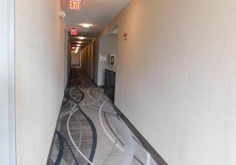 هتل Island Suites