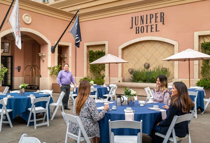 Juniper Hotel Cupertino, Curio Collection By Hilton