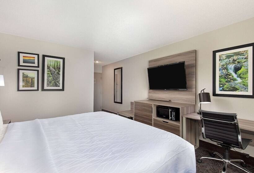 هتل La Quinta Inn By Wyndham Pigeon Forgedollywood