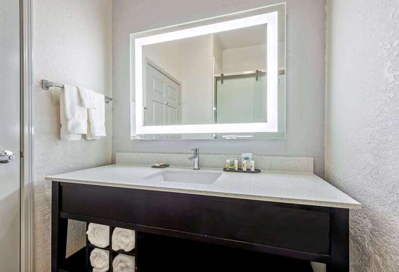 בית מלון כפרי La Quinta Inn & Suite Kingwood Houston Iah Airport 53200