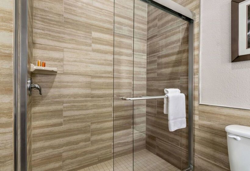 בית מלון כפרי La Quinta By Wyndham Brownsville North