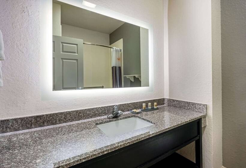 酒店 La Quinta By Wyndham Conroe