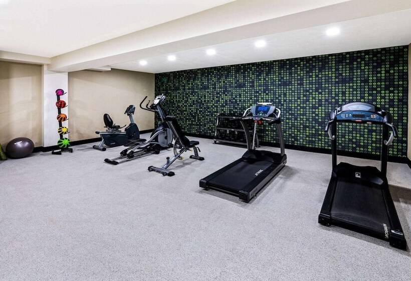 فندق La Quinta By Wyndham Fruita